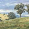 In the hills above Palmers Oakey     oil on canvas board   46 x 36cm  $1,000 AUD