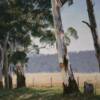 "Shade under the eucalypts"   SOLD
