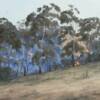 "Afternoon backburning, South Bowenfels"  oil on canvas board  46 x 36cm  SOLD
