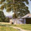 "Old shed, Wolgan"   SOLD