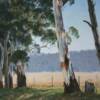 No 18  "Shade under the eucalypts"