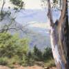 No 24  "View from Mitchells Ridge"